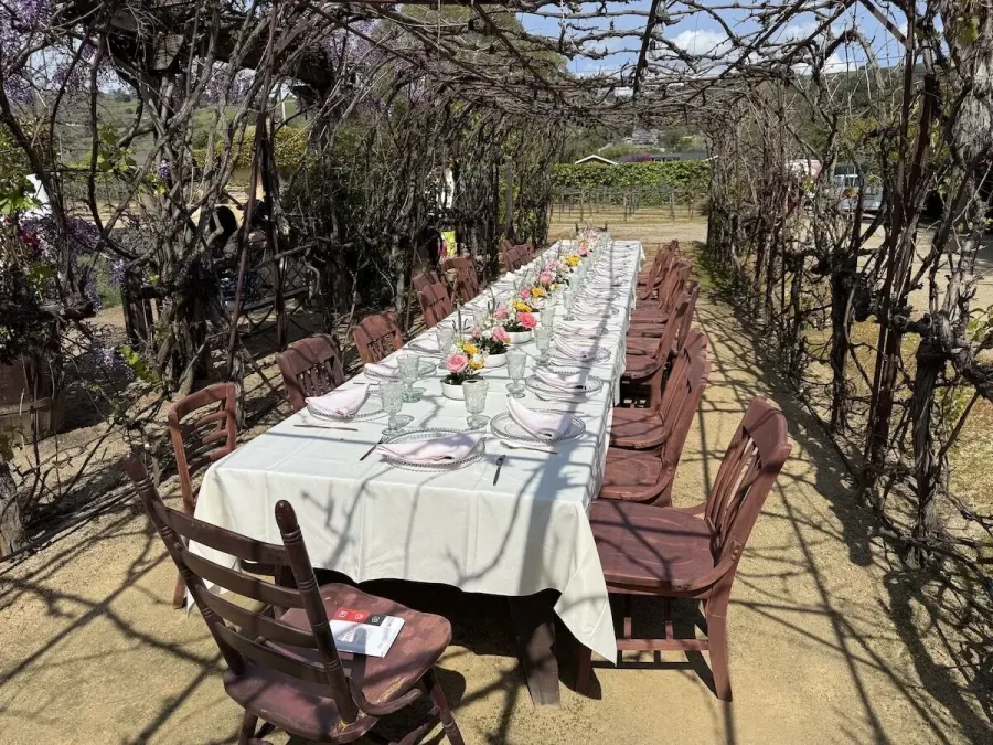 Vineyard long table lined with compact centerpieces and place settings between the rows — winery table florals in the Livermore Valley